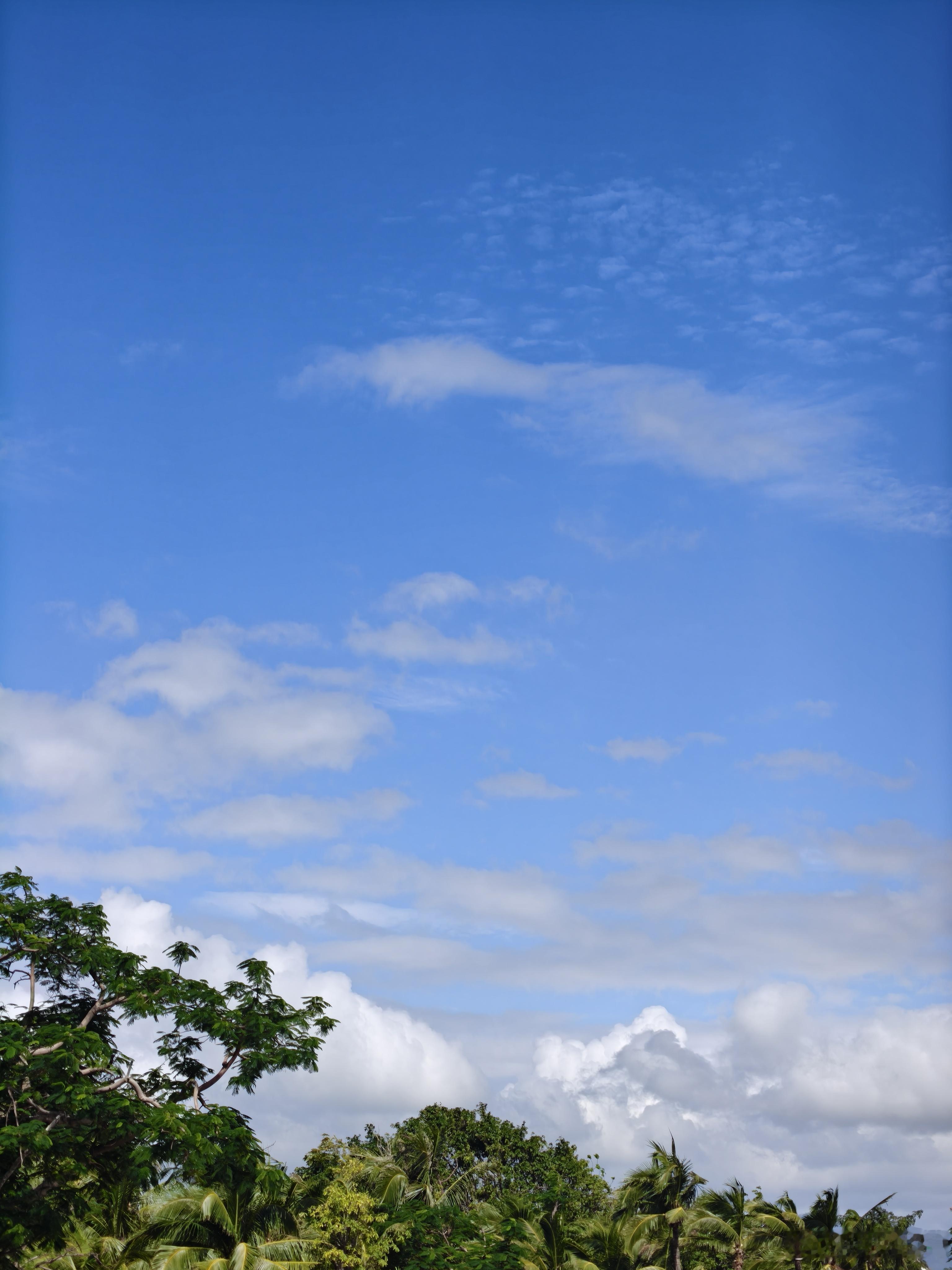 刚才有游客订了一间双床房（1.8米+1.5米的床），然后打电话来问5个人能住得下