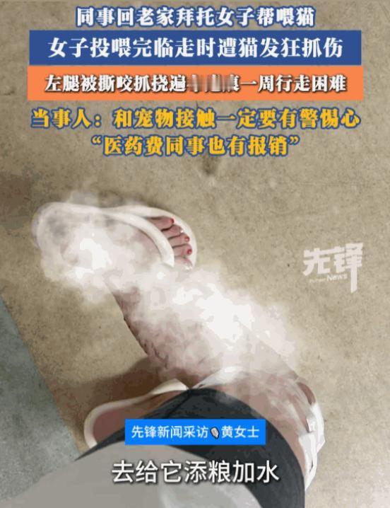 这真是太惨了！海南，一位女子好心帮同事上门喂猫，本以为是举手之劳，谁知竟换来一场