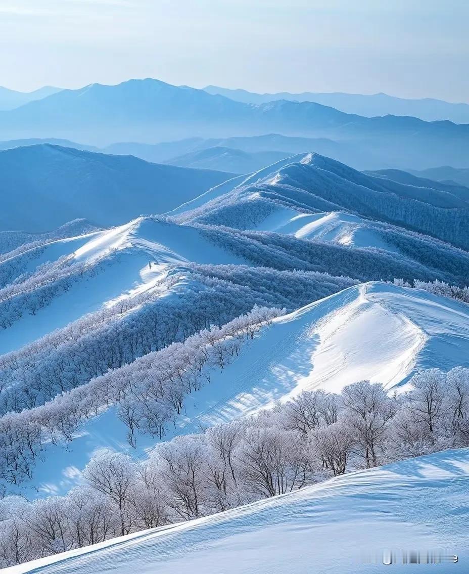 雪满寒山万木，风过清泉万壑。
雪景壁纸