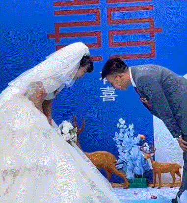 网友:这新郎最后那一跪俺给他打10分！