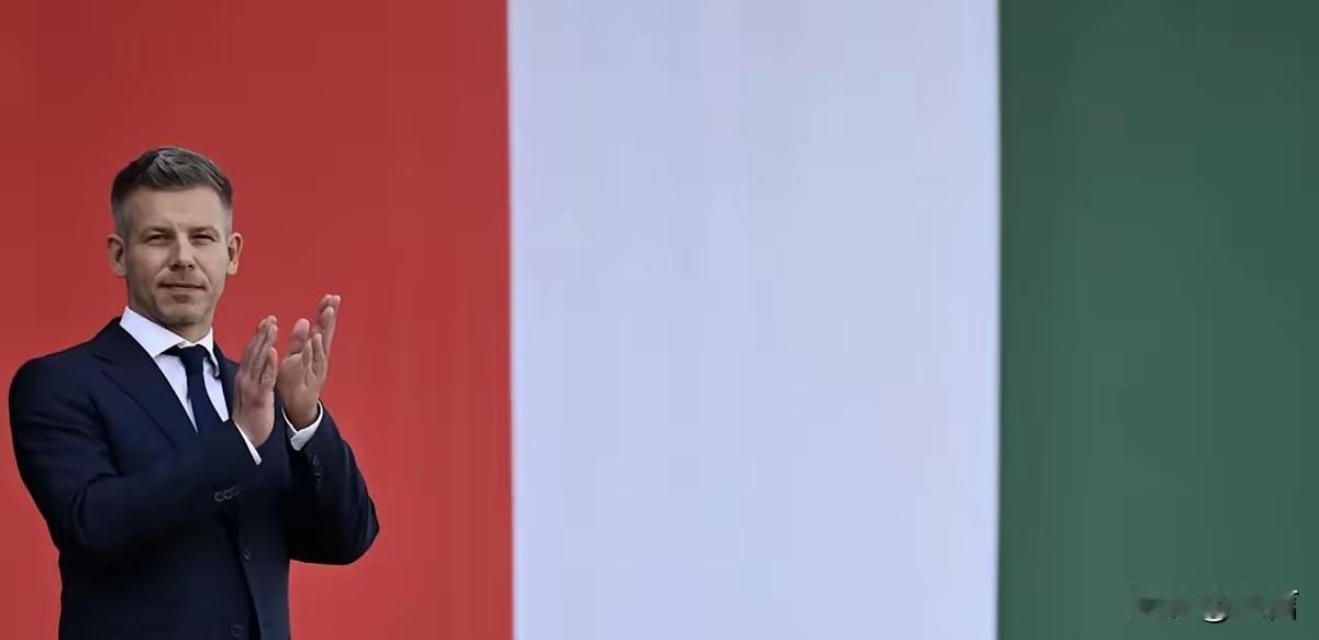“让我们一起制定法律、一起来遵守吧”匈牙利总理毛焦尔宣布:“2026年9月启动全