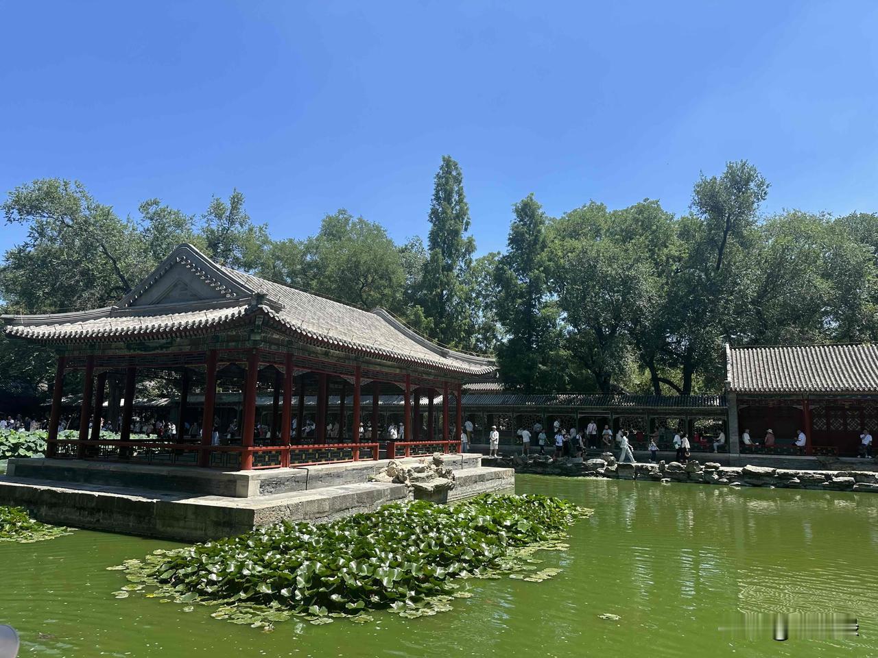 老大认识的一个小妹妹，昨天收到华师大的录取通知书，截图告知了她，小姑娘考的是公费