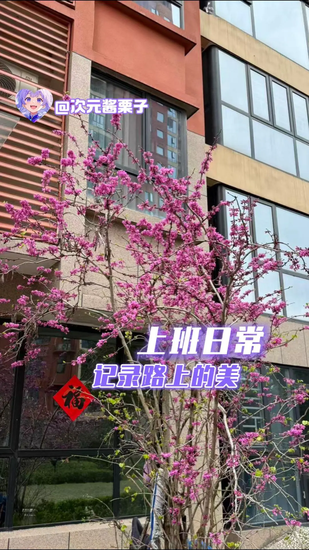 上班日常，记录路上的美。