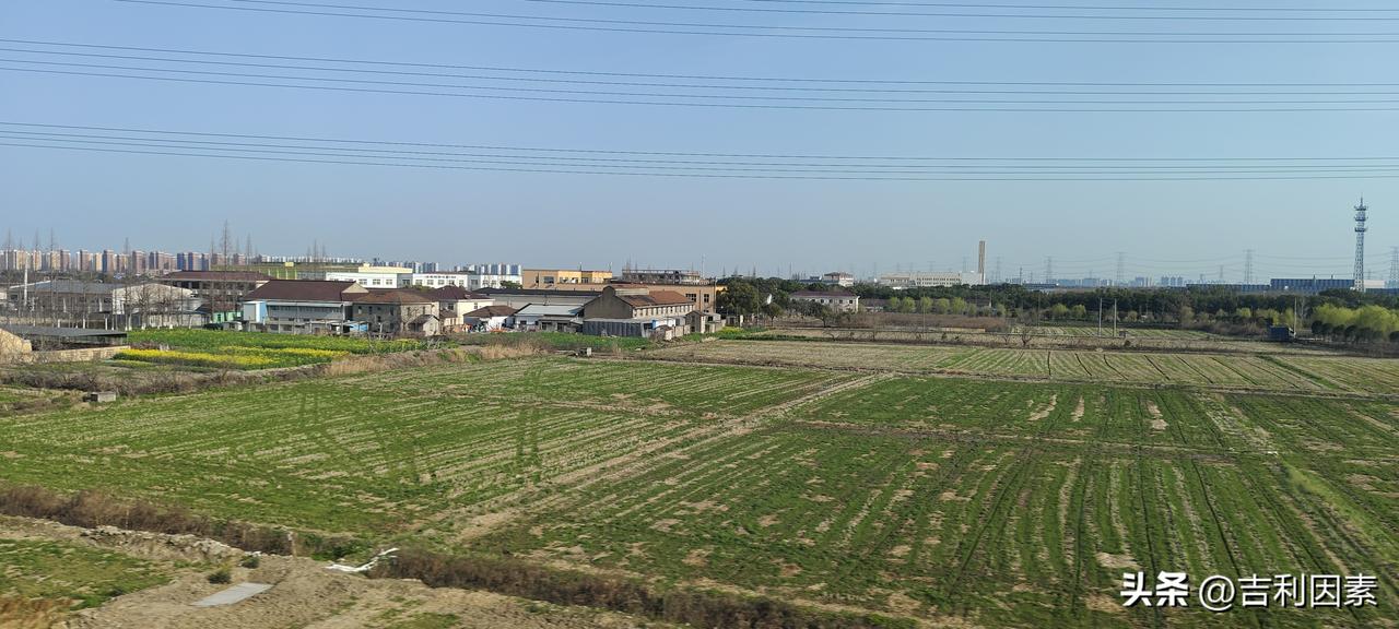 爷爷奶奶和外公外婆带娃协作方式
子女有了孩子之后，双方父母便会协商确定协作带娃的