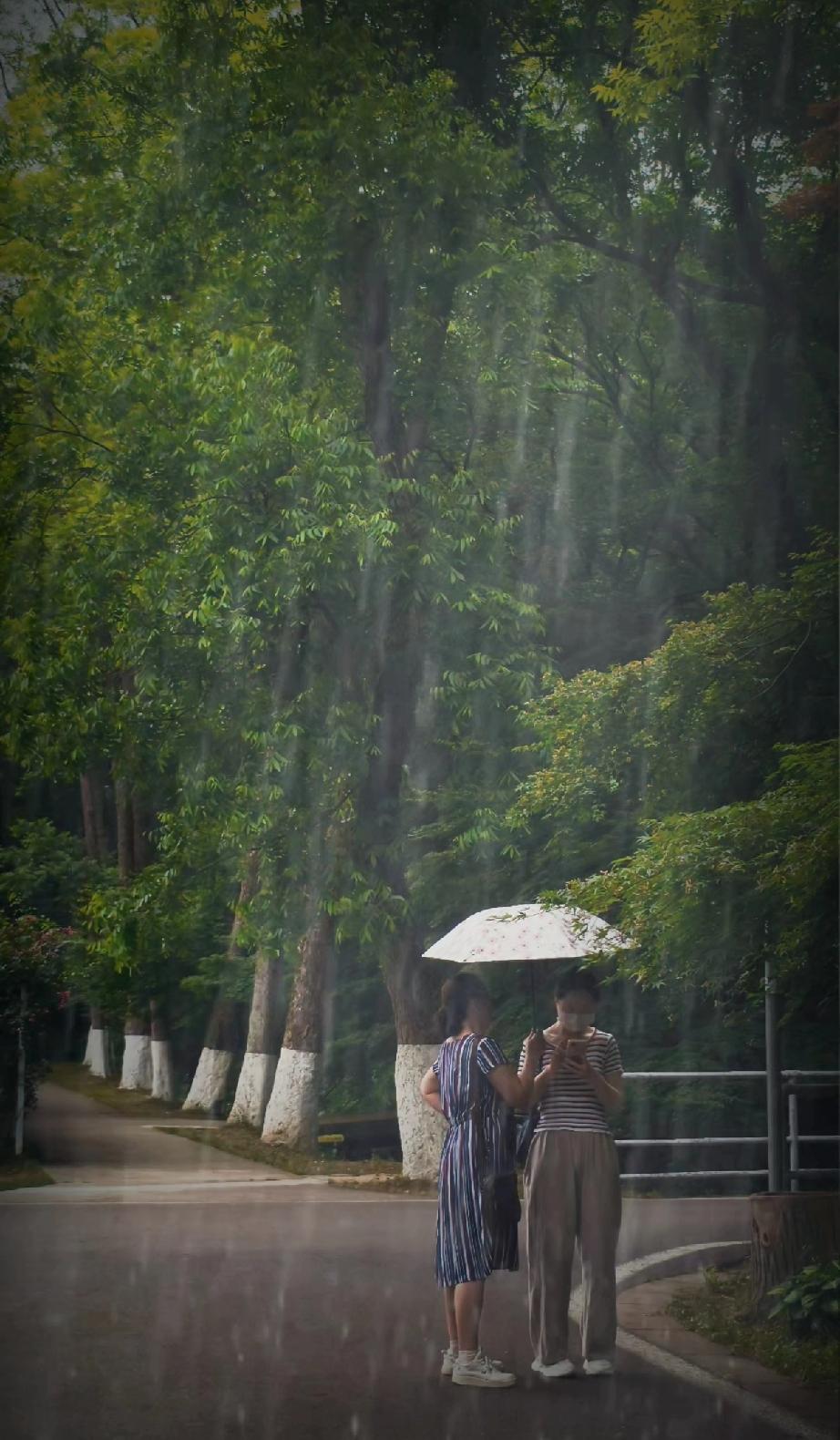 雨天拍照同样漂亮赞同吗?我超赞同“雨天拍照同样漂亮”这句话！就拿南京植物园来说，