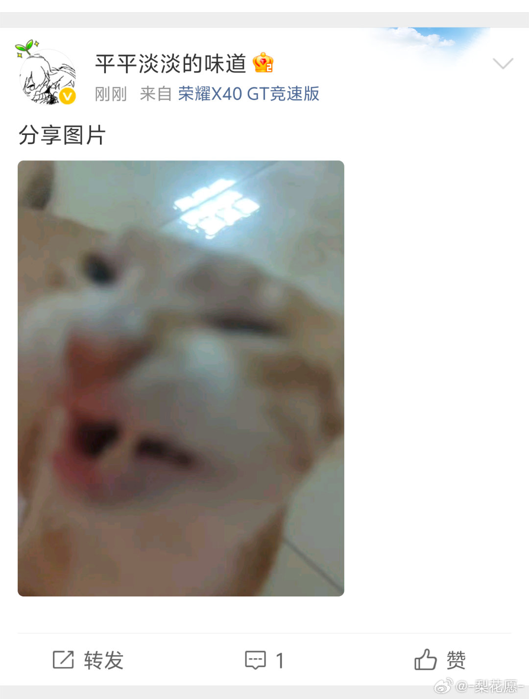 雷猫对阿苏的🐀做了什么