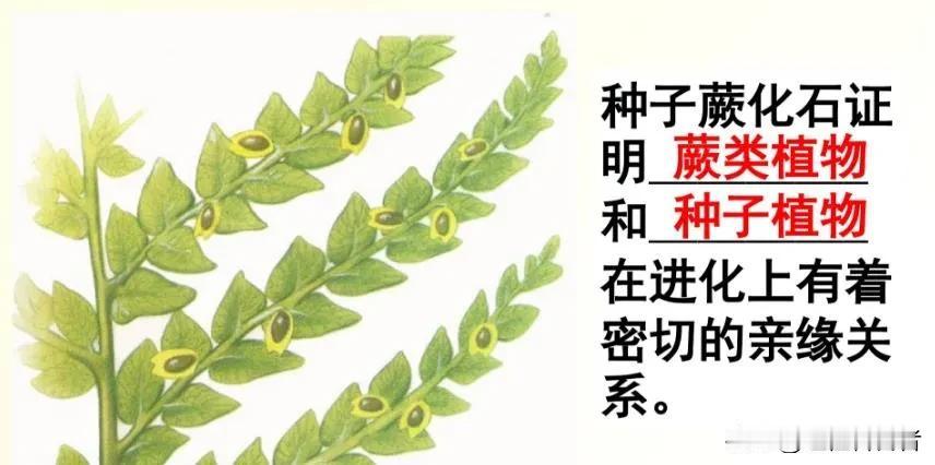 #蚊子存在有什么意义#蚊子在生态系统中确实扮演着一定的角色，但它们对人类的益处相