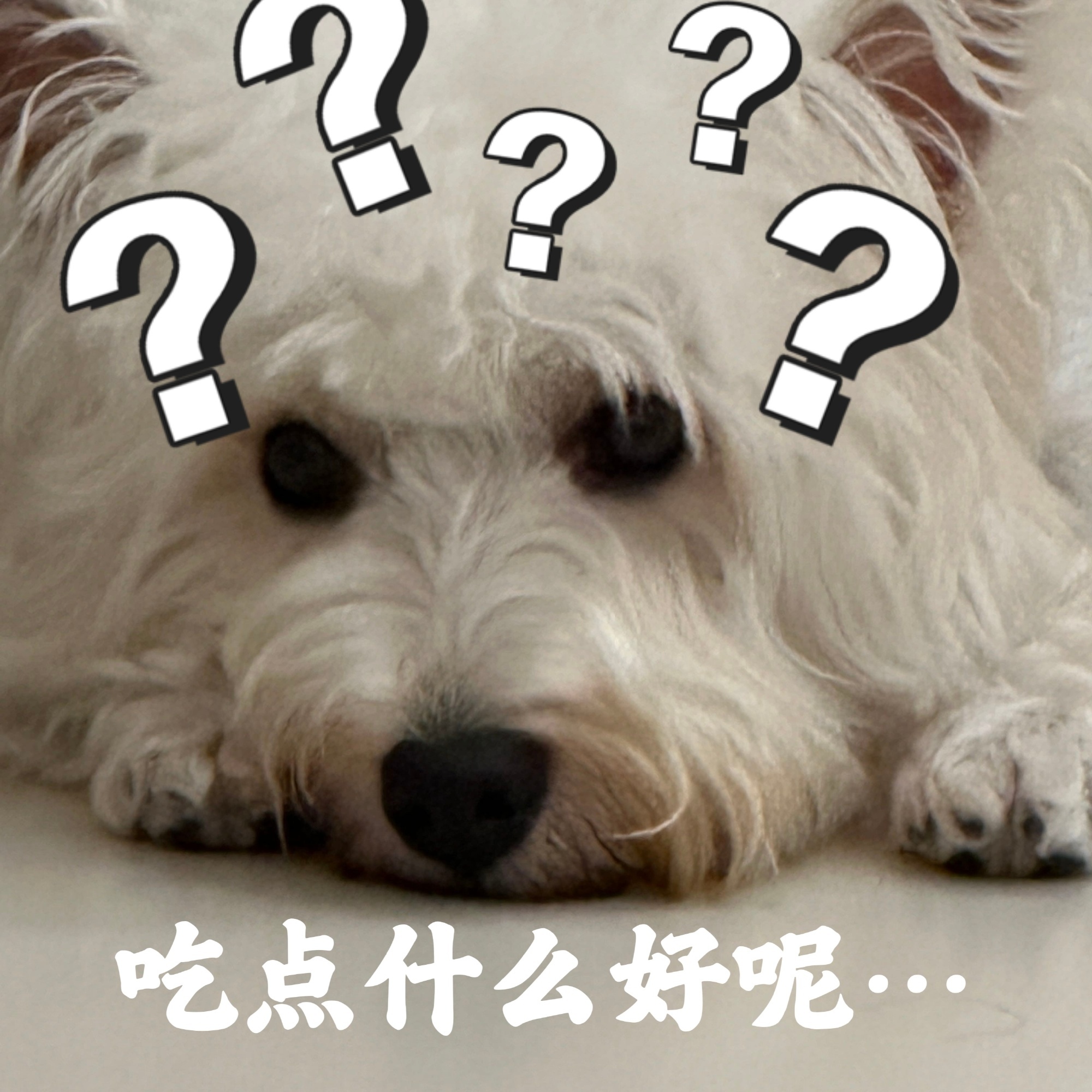 今早吃什么？菜粥鸡蛋小咸菜这被迫失眠熬了夜，怎么跟宿醉一样头痛无胃口昏昏沉沉啊…