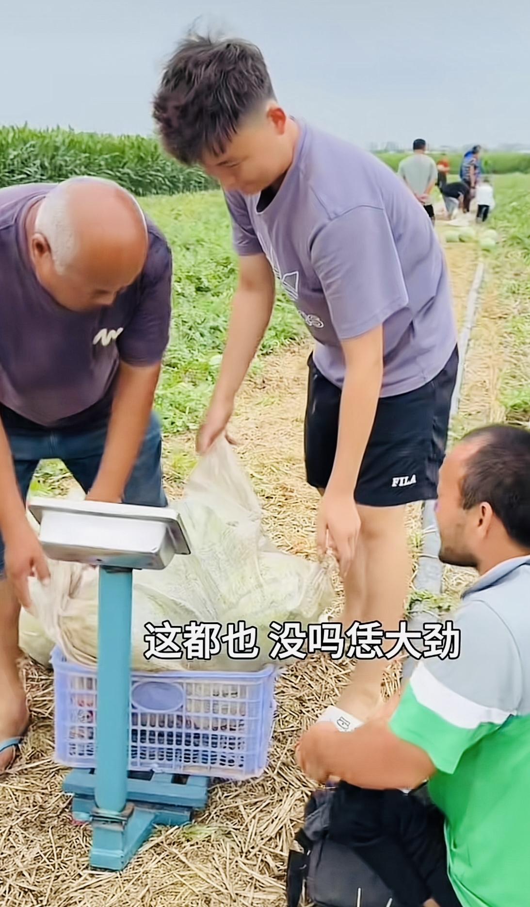 河南网红妞妞帮助邻村瓜农，这位瓜农大哥有点特殊，他的双腿不能站起来，只能蹲着行走