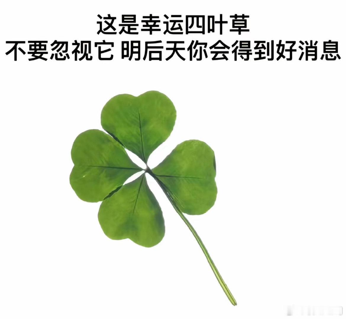 这条微博提到了你… ​​​