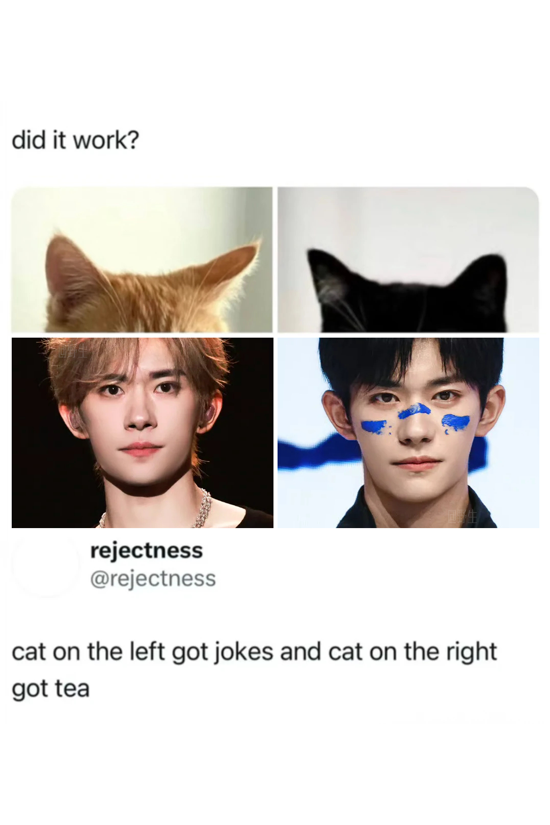 易烊千玺四字 易烊千玺 yyqx 四字弟弟 橘猫和黑喵