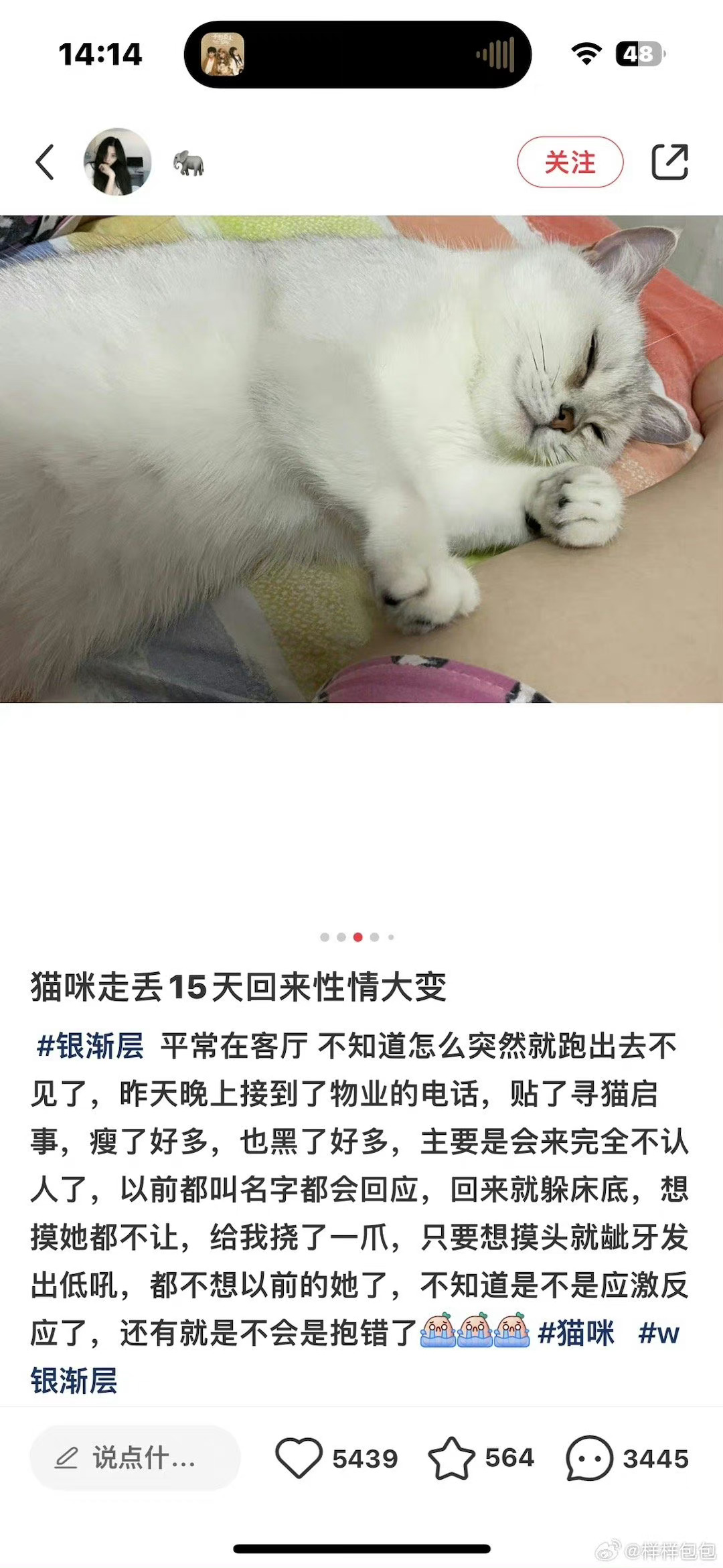 抱错猫了。。。。[允悲] ​​​