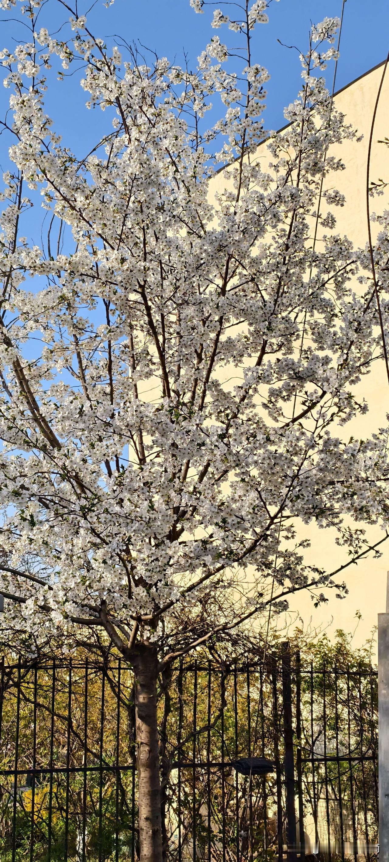 别把同事的客气当真感情，你离职那天连点赞都不会有

昨天前同事结婚，群里发了请帖