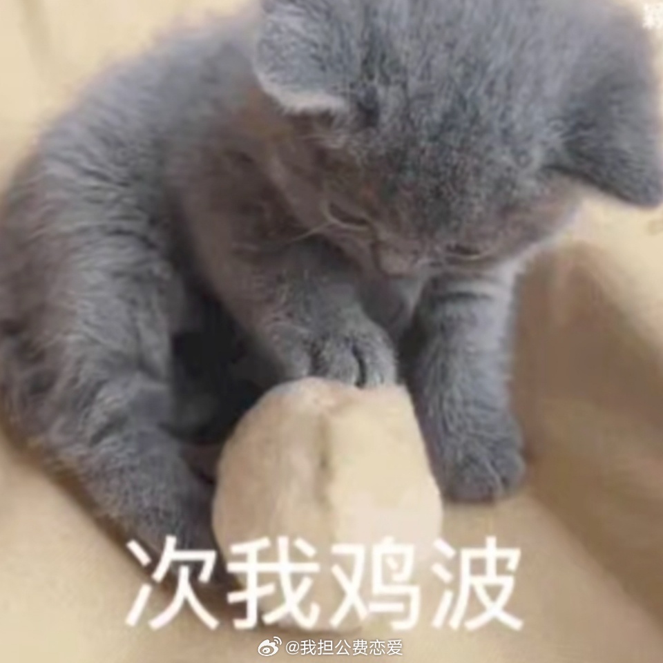 分享图片 
