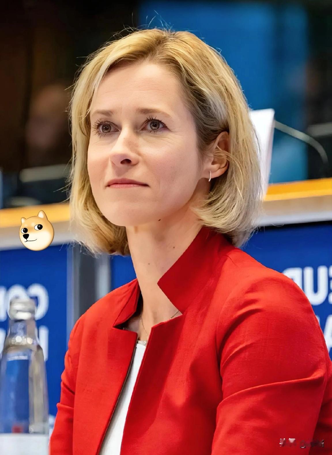 欧盟第一傻，欧盟外长卡拉斯北京时间18日在社交媒体发文：美国对格棱兰岛主权的索取