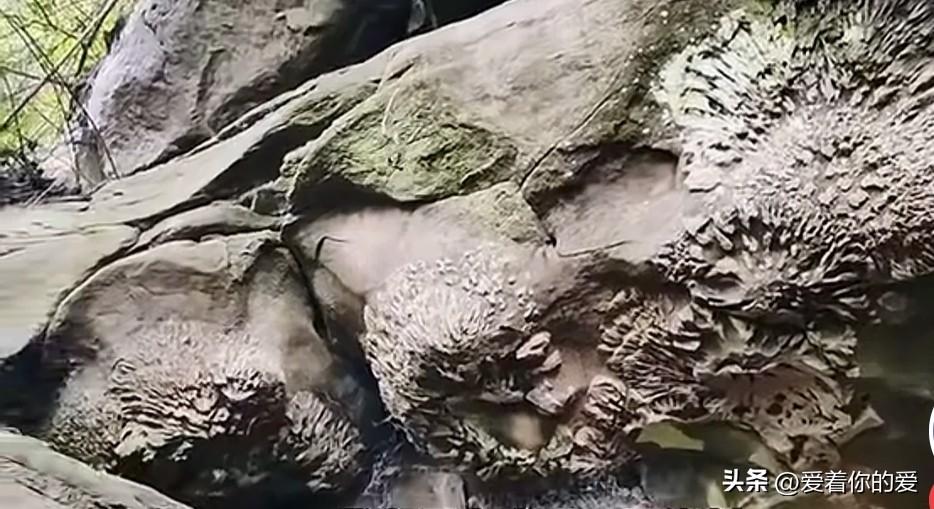 重庆綦江的现实版“石头开花”，简直太神奇了，感觉像走进了奇幻世界！我之前就听说过