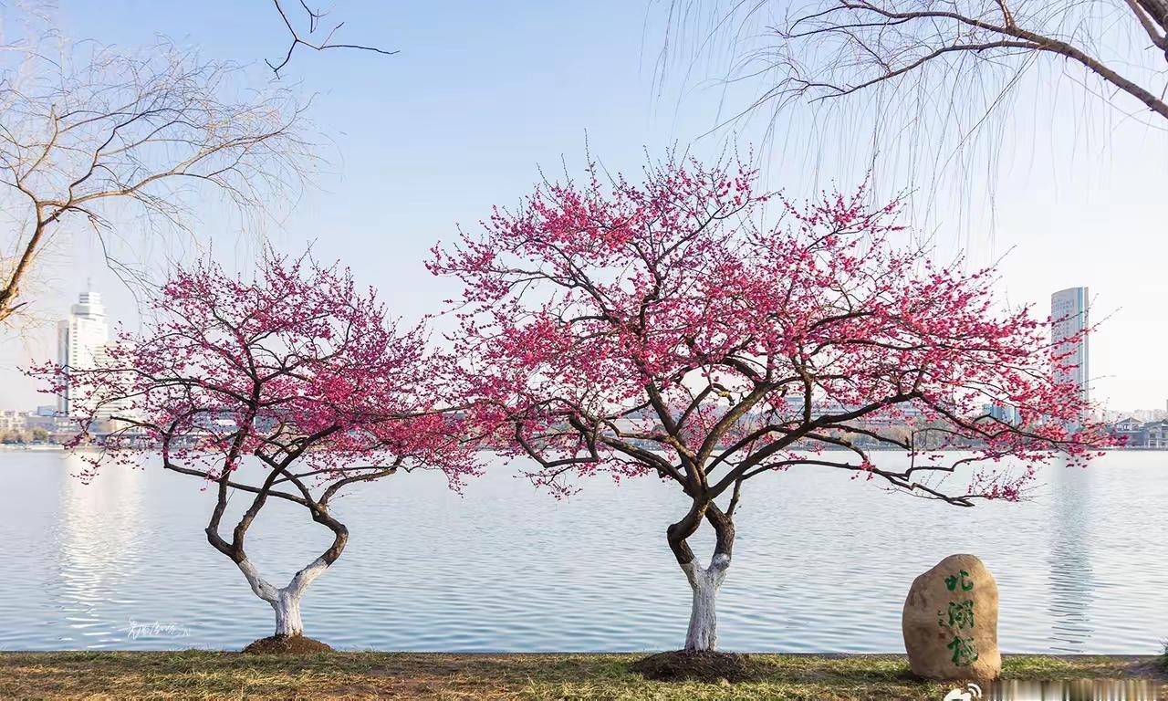 南京这两天实在是太冷了，穿羽绒衫还得带帽子，雨下的那么大，湿湿的冷气直往汗毛孔里