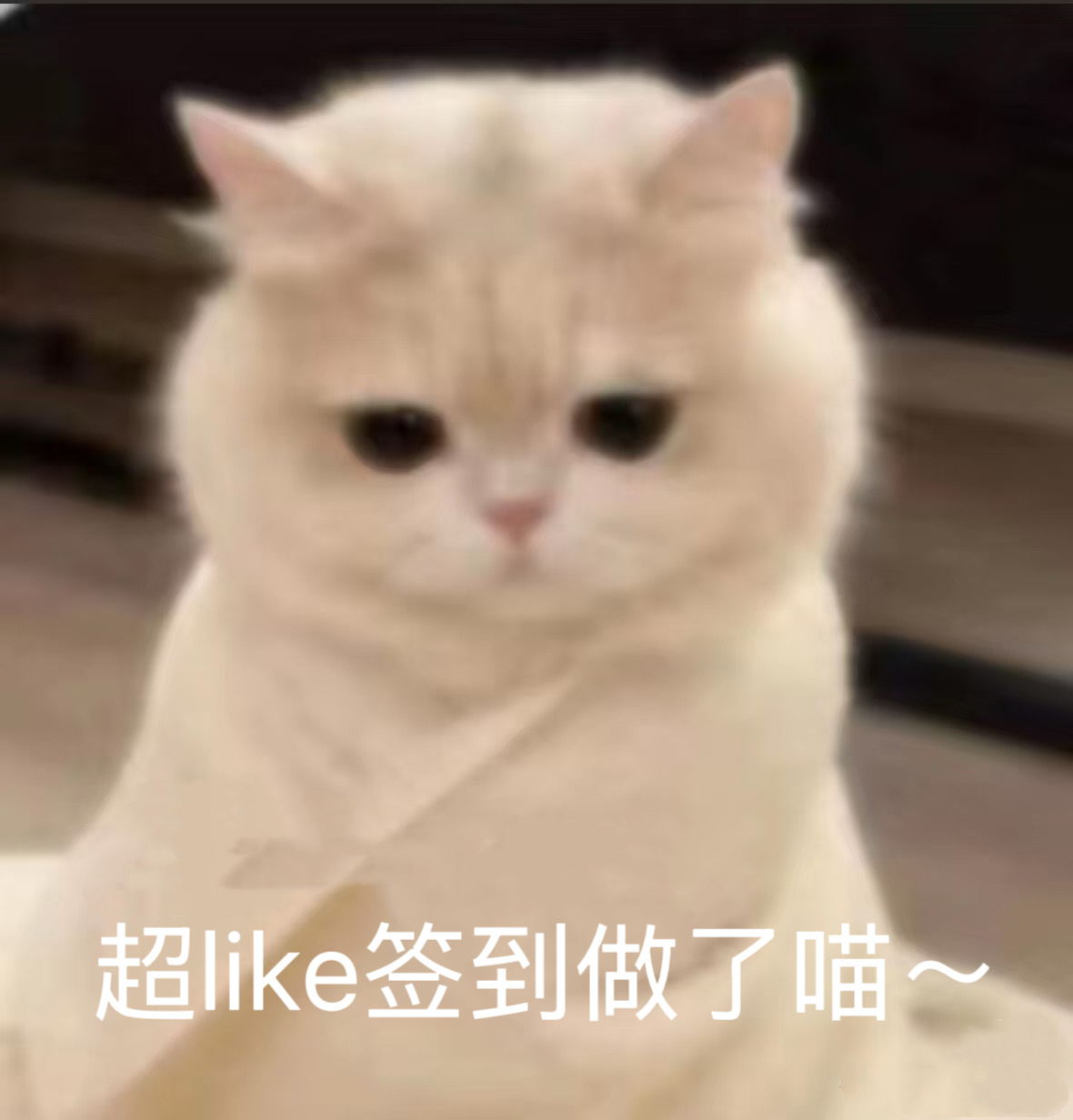 基础任务要坚持做！✊✊✊✅所有人先去王一博[超话] 签到✅每个浩保持在80分以上