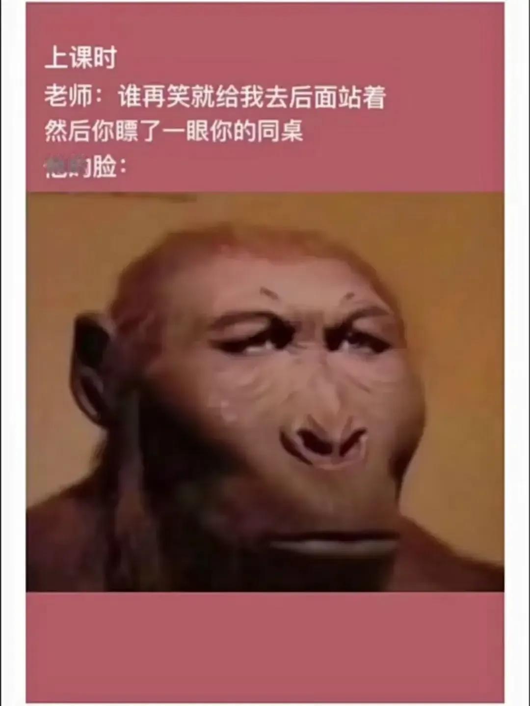 是这样的[捂脸]