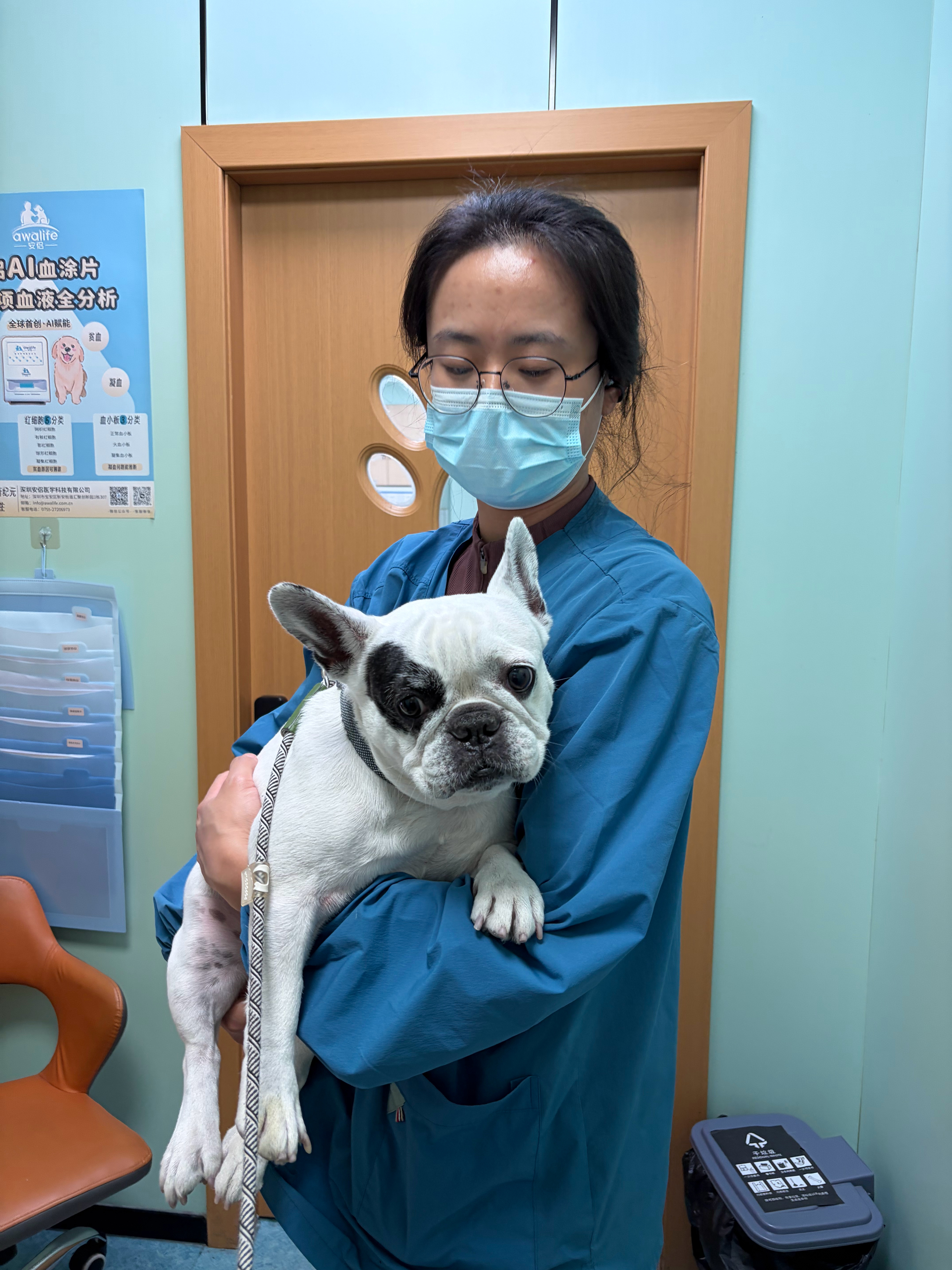 尿频尿急尿不尽 又来医院了一脸忧郁的赛师傅佑酱的法猪猪赛纳 上海