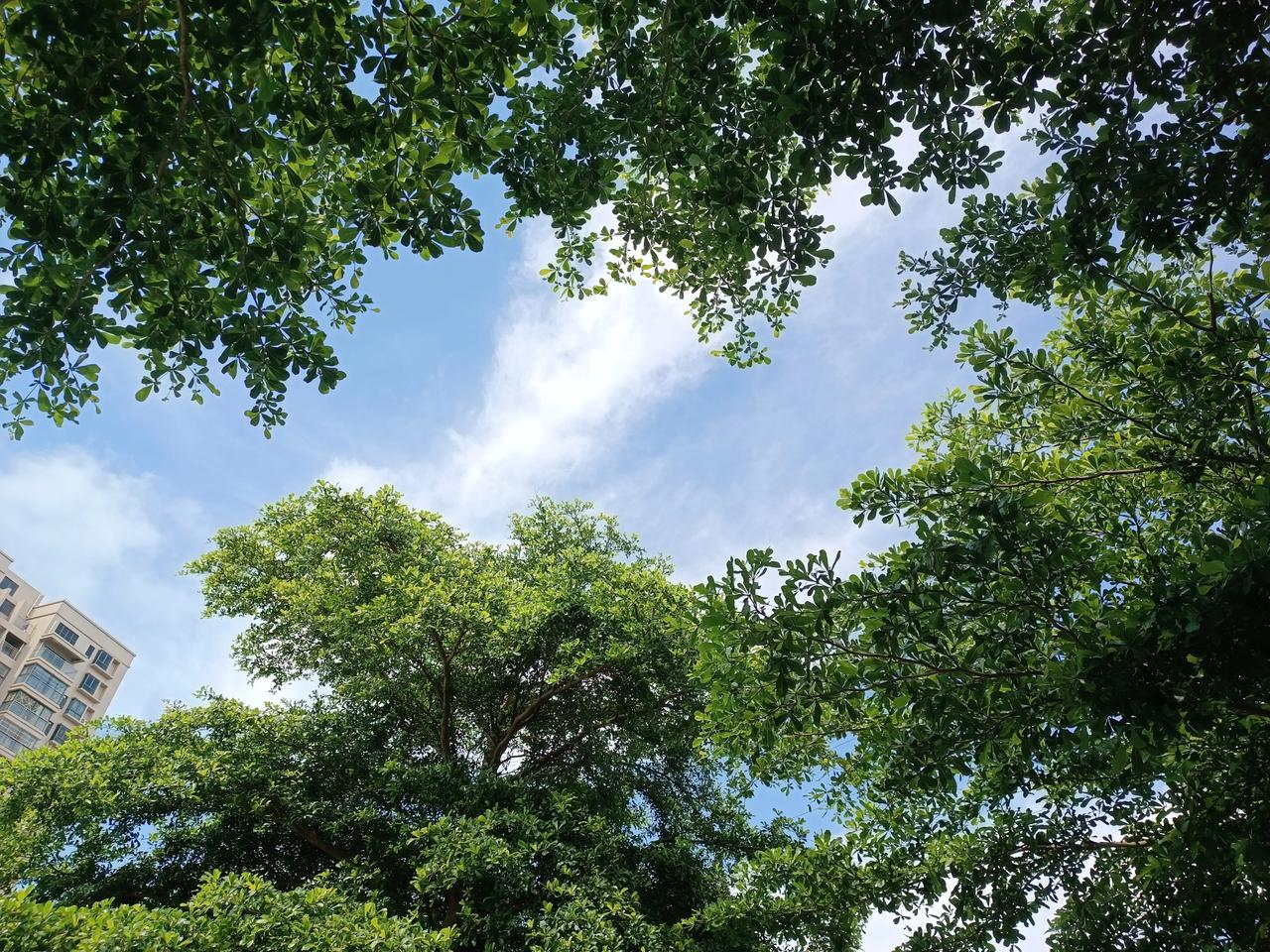 今天天气晴朗
阳光明媚
有点热热哒
哈哈，下午好
[点亮平安灯][点亮平安灯][