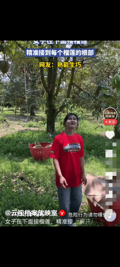 “网友惊呆了！”近日，女子树下接榴莲精准接住根部，冲上热搜，网友看后直呼：太牛了