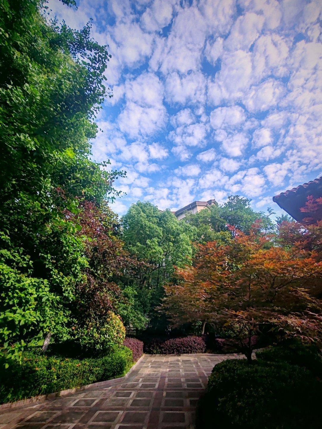 六一儿童节的早晨，有最美的天空 ，孩子们也有好心情：蓝蓝的天，白白的云……随手拍