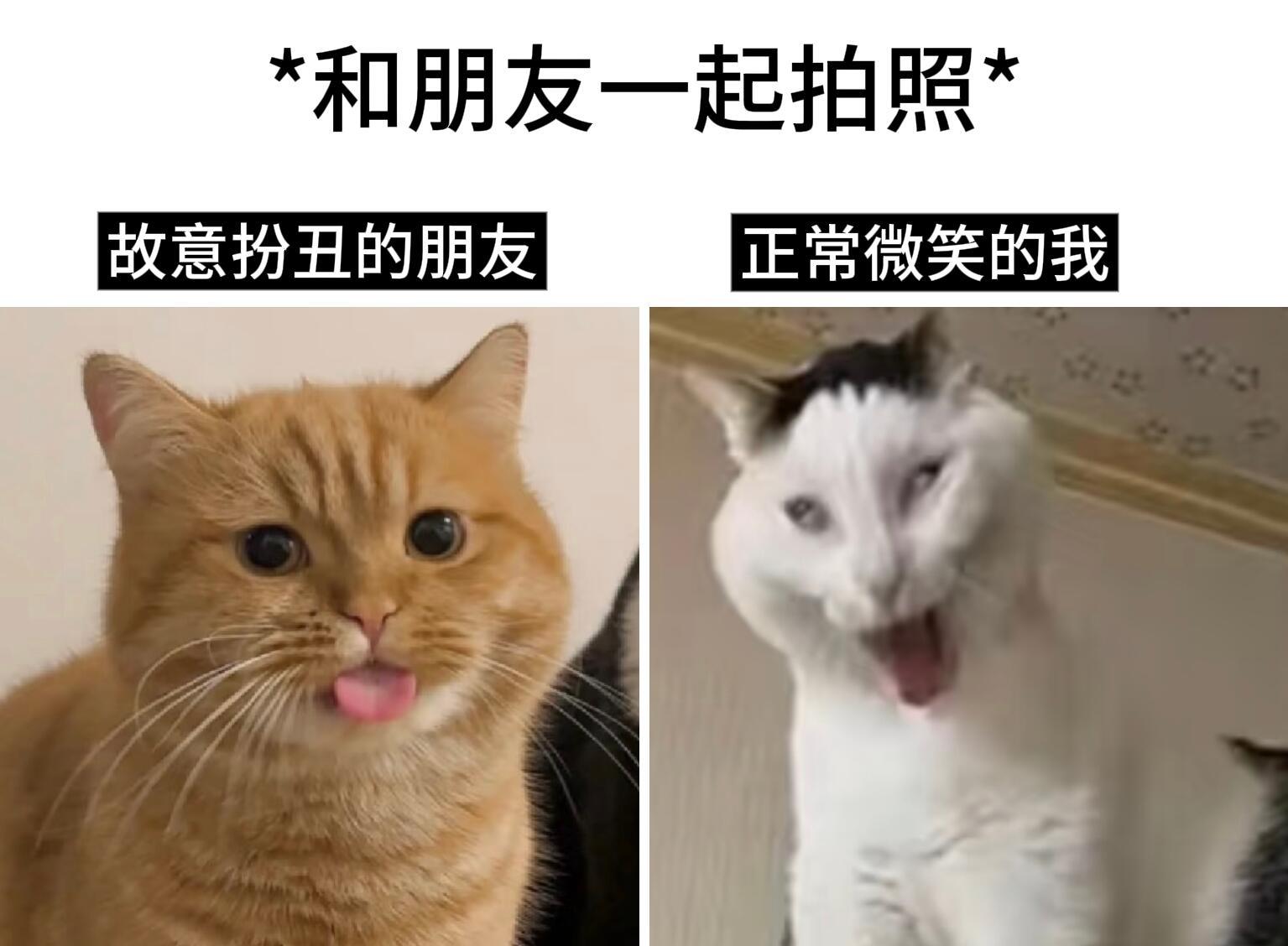 真成小丑了🤡 