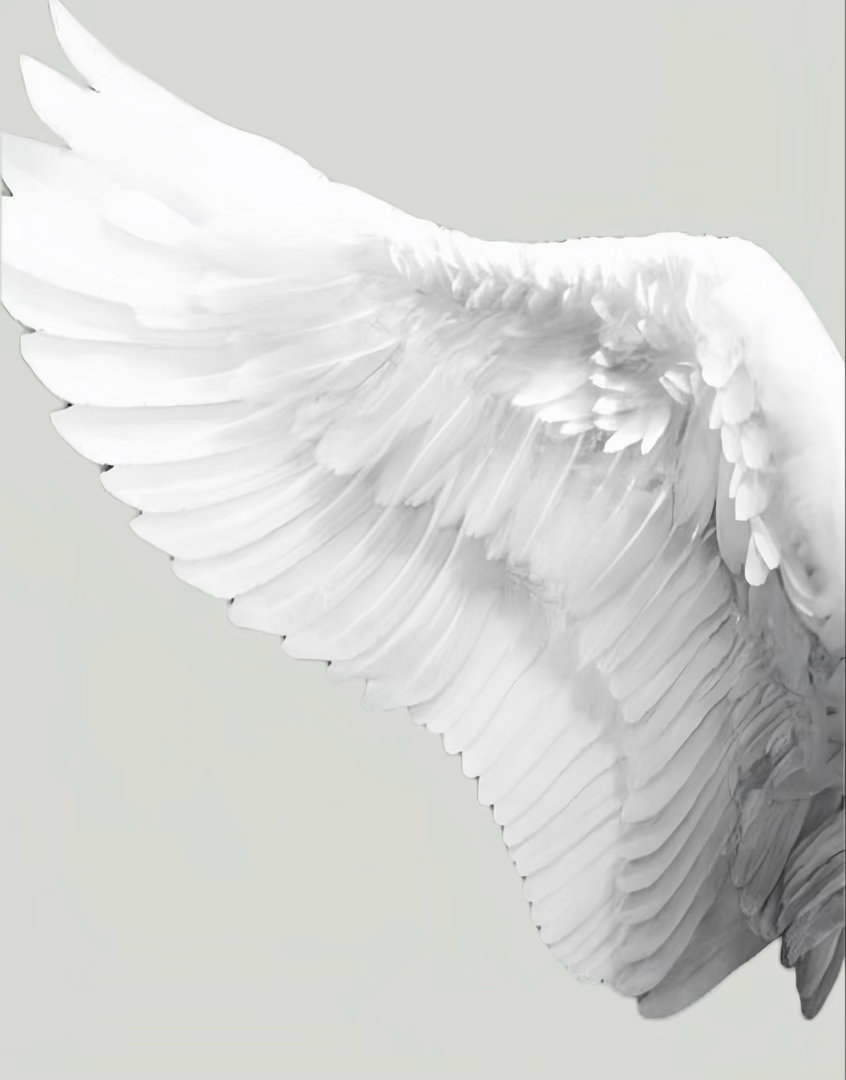 𝓐𝓷𝓰𝓮𝓵 ໒꒱˚.* 网页链接