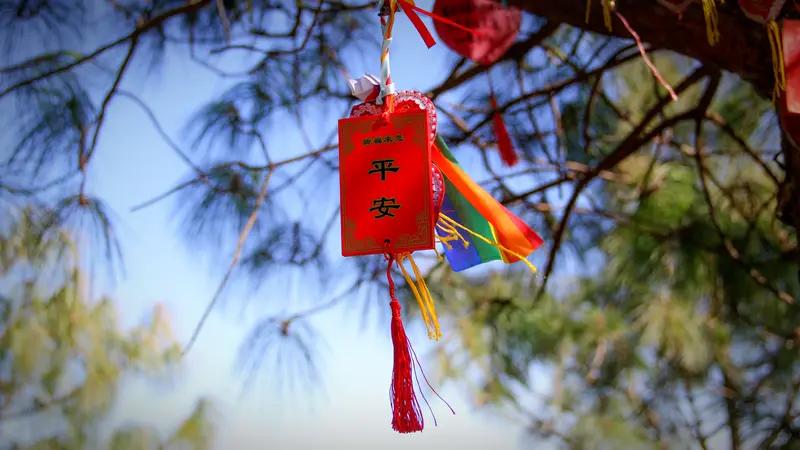 虽然变老，
精神不倒；
一路同行，
向前奔跑；
心态年轻，
夕阳更好；
保持童心