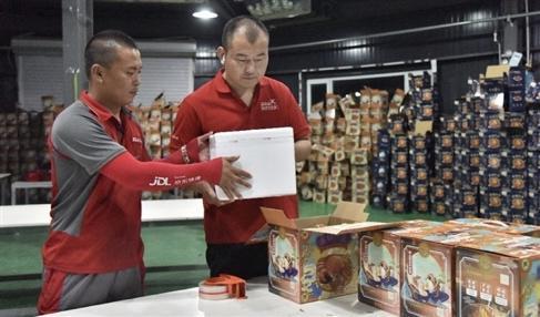阳澄湖大闸蟹到了销售最高峰老赵是阳澄湖边的老蟹农了，他见证了阳澄湖大闸蟹从默默无