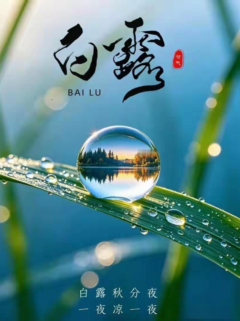 秋从白露使，凉意漫枝头，天高云淡，秋高气爽，细数过往，憧憬未来，愿你所有其许，都