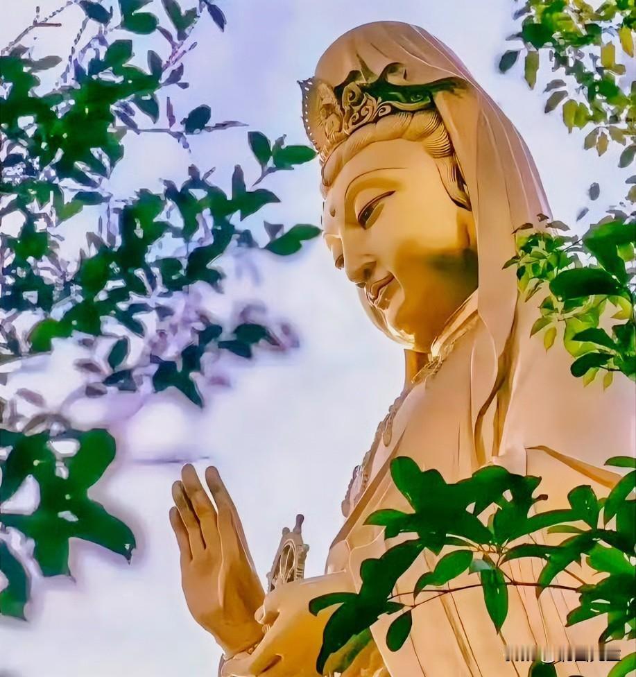 北大学者说：
“万物到最后，皆是极简与自渡！
家务的尽头是少物，运动的尽头是静坐