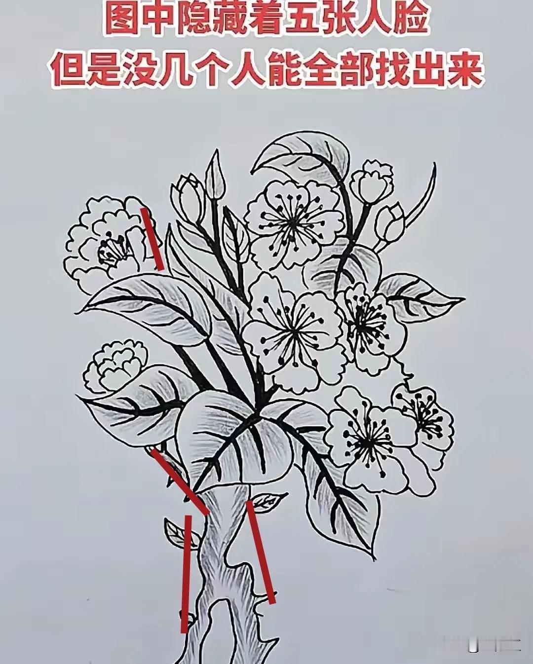 只找到4個人臉。請高人出手吧。