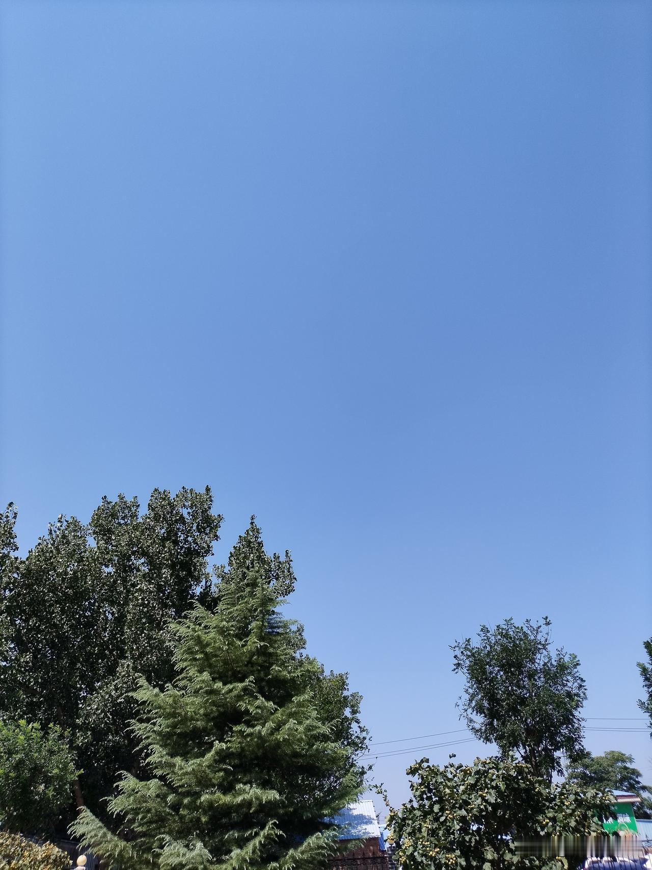 今天的天气，晴空万里，连自己的影子都是那么清晰，好像在提醒：作为一个人，就要活得