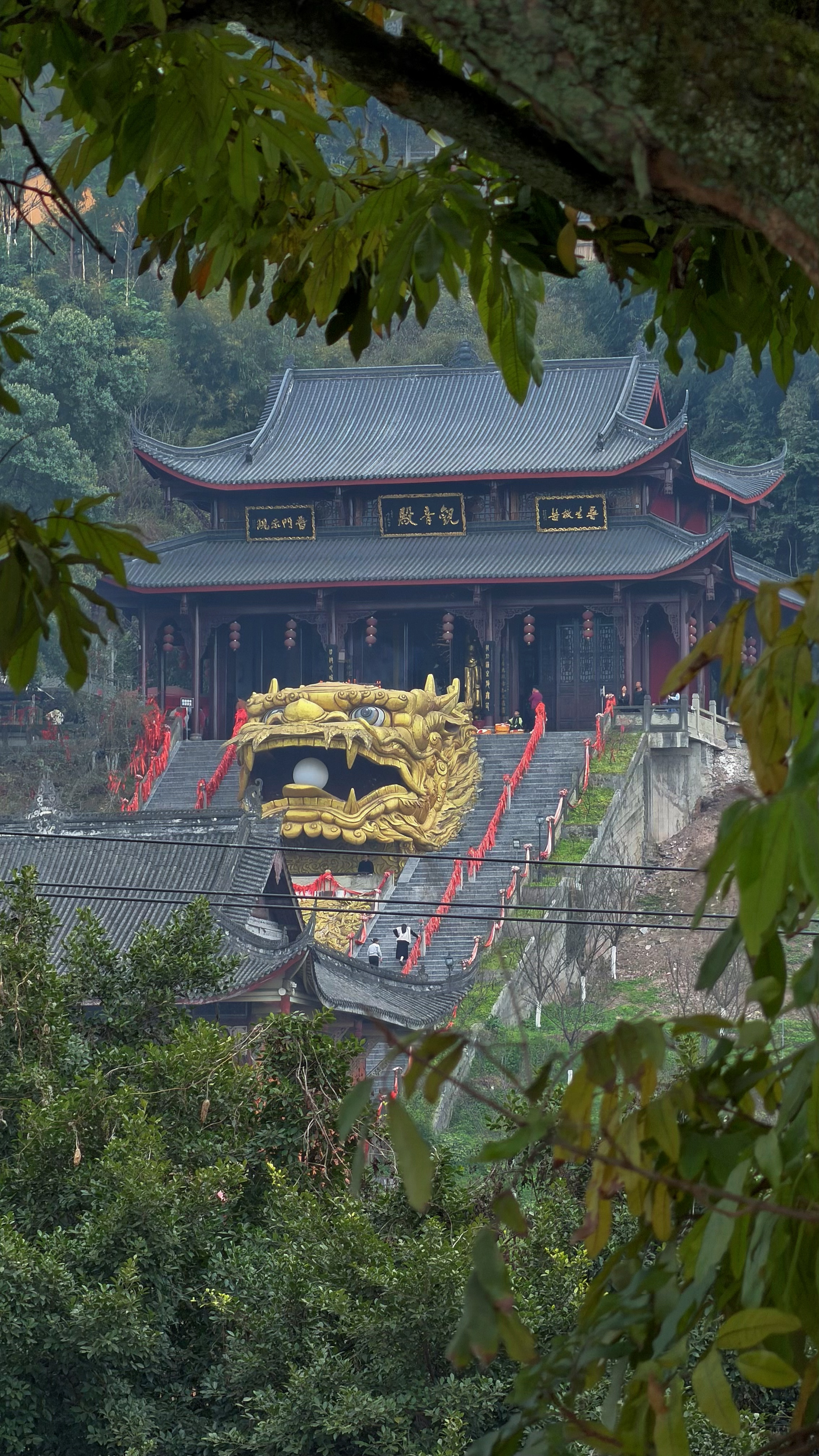 泸州金龙寺，依山靠江千年古刹，金龙霸气得很，红墙大殿香火旺，登高就能看长江，免费