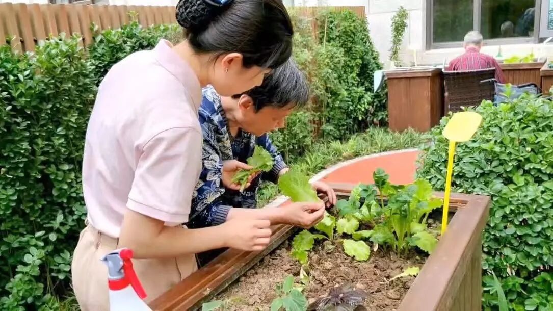 “银发旅居”新消费涌动，如何承接1亿老年人的“诗与远方”？