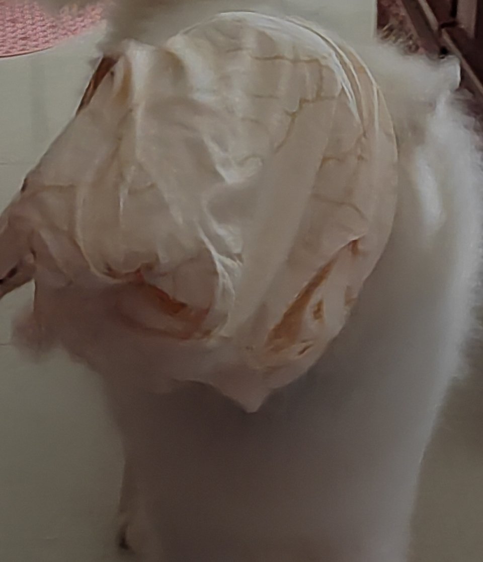 算了 我再去把一屋暗灯看一下，反正也忘的差不多了 