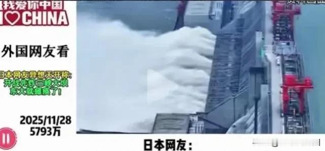 日本网友说：中日开战，先炸三峡，东大肯定瘫痪！这番话没等来中国网友的反驳，倒是先
