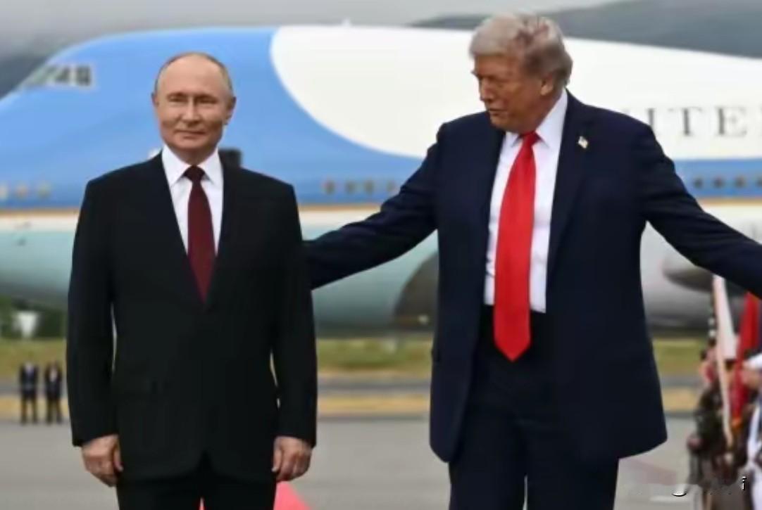 连普京都承认
想不到特朗普在乌克兰问题上“如此大方”！
俄罗斯总统普京在访问印度