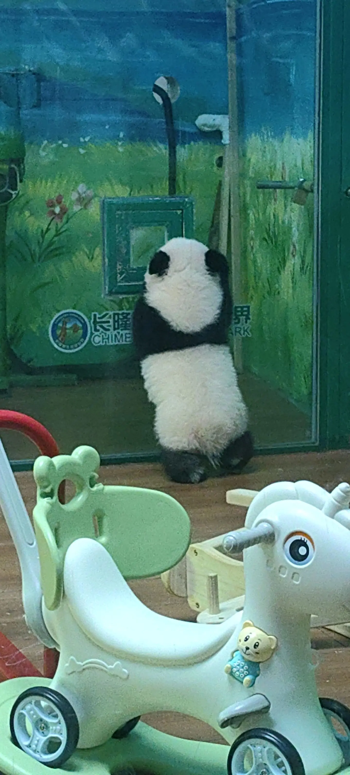 妹猪：来个人给我开窗😂