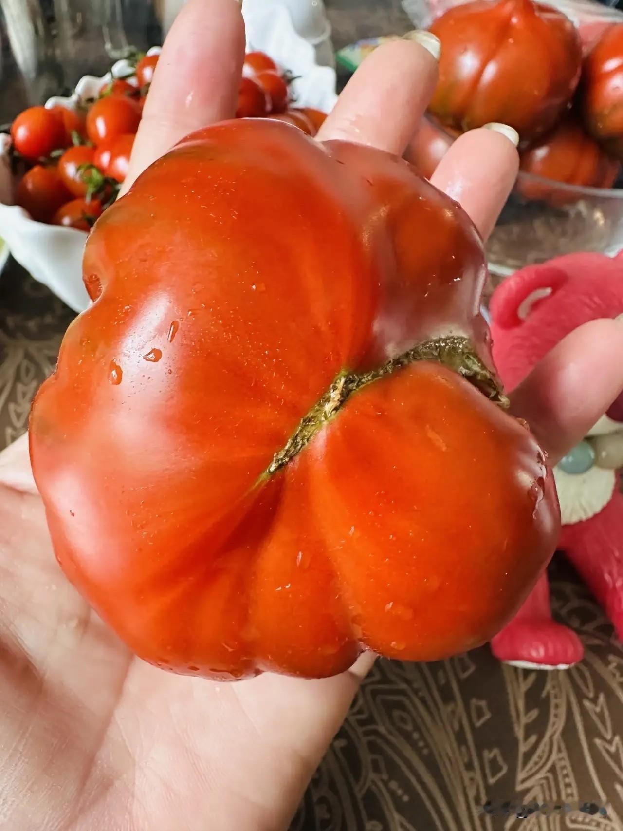 我尝着这种柿子挺好吃就给我娘买了一些。
以前我都是这样，只要我觉得这东西挺好吃我