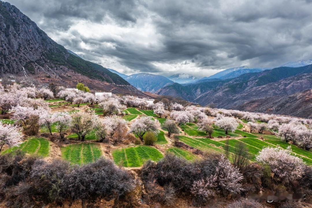 近日，甘孜推出了318元等不同价位的景区终身畅游卡，涵盖14个知名景区。该畅游卡