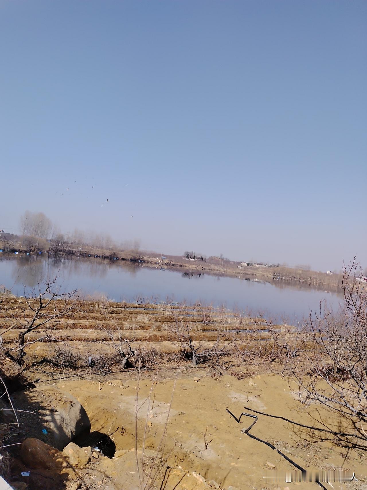 我的美丽家乡在一个偏僻的小山村，那就是我从小长大的地方[耶][耶][耶]