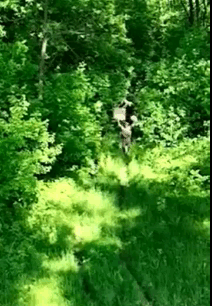 在乌克兰苏梅地区，5名热爱和平的俄军士兵拿出十二分诚意从树林走出“释放善意”。但