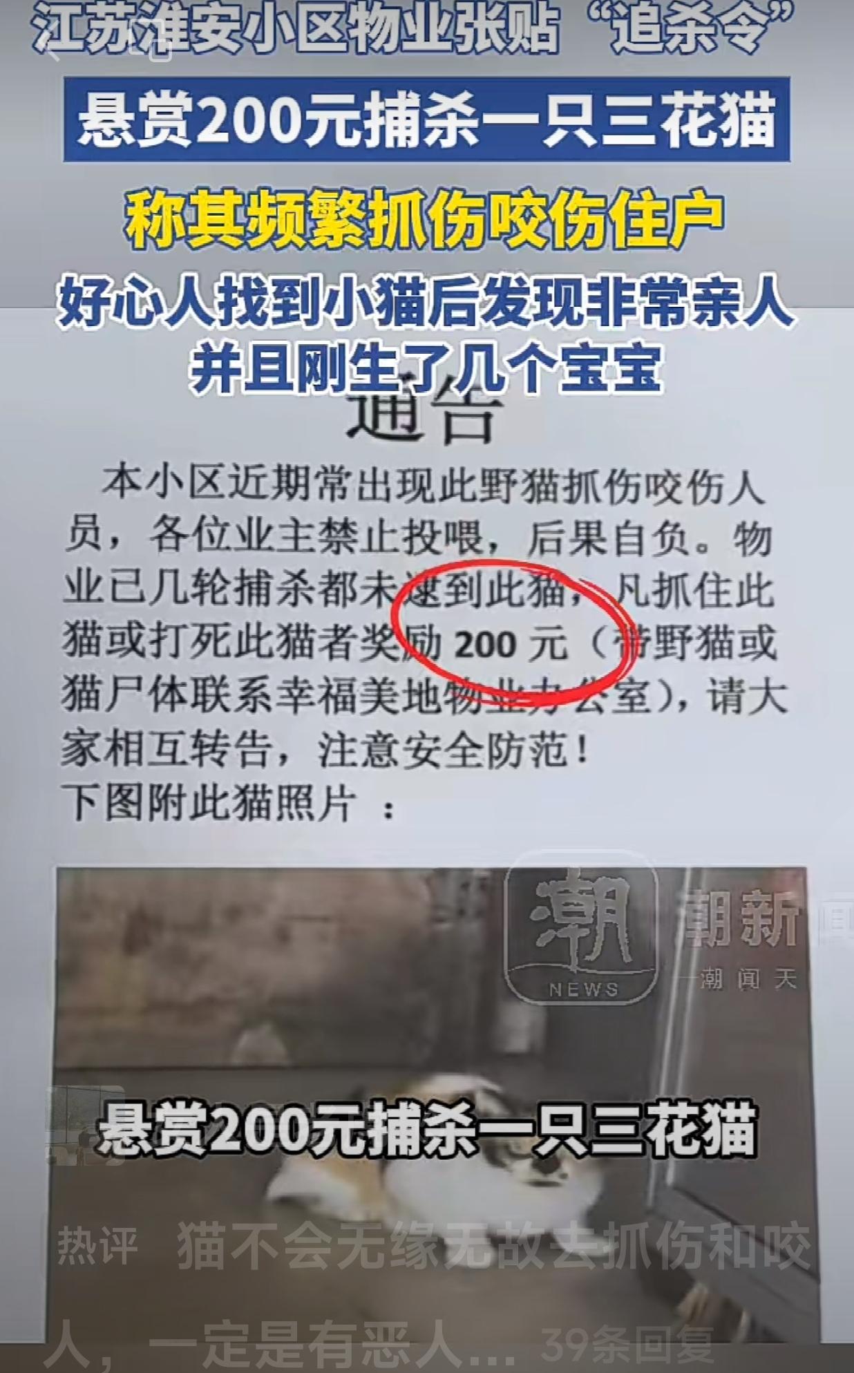 可见，这个小区的业主和物业是多么的可怕！
江苏淮安某小区张贴了一张“追杀令”，悬