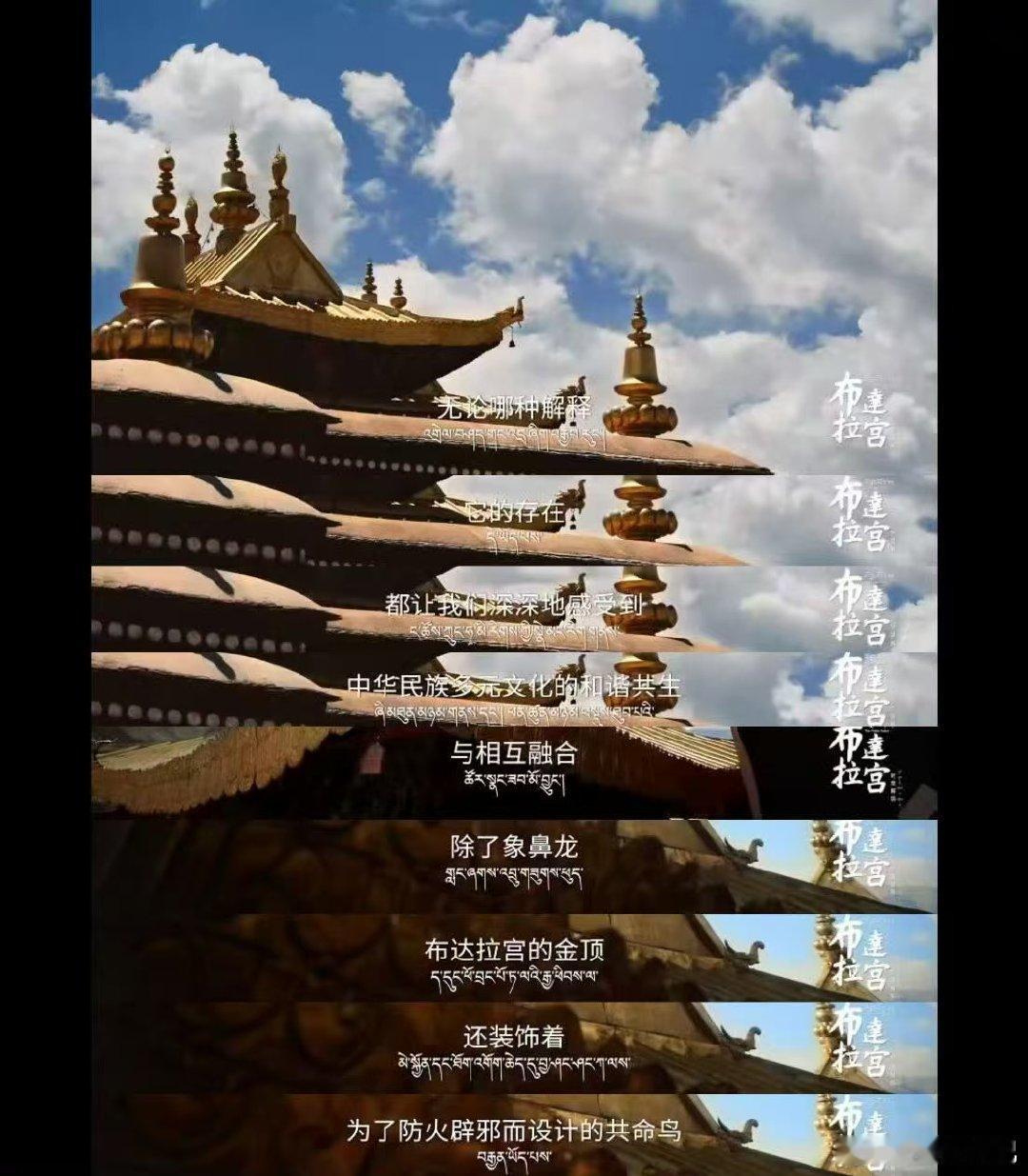 罗云熙文化输出从从容容游刃有余罗云熙做文化输出，就像一位技艺高超的舞者，在《布达