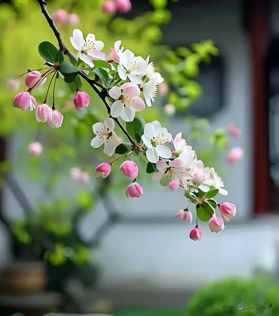 小腹左下侧总是疼。肚子也总是胀气，一天三四遍大号，去做腹部彩超没有什么问题，有谁