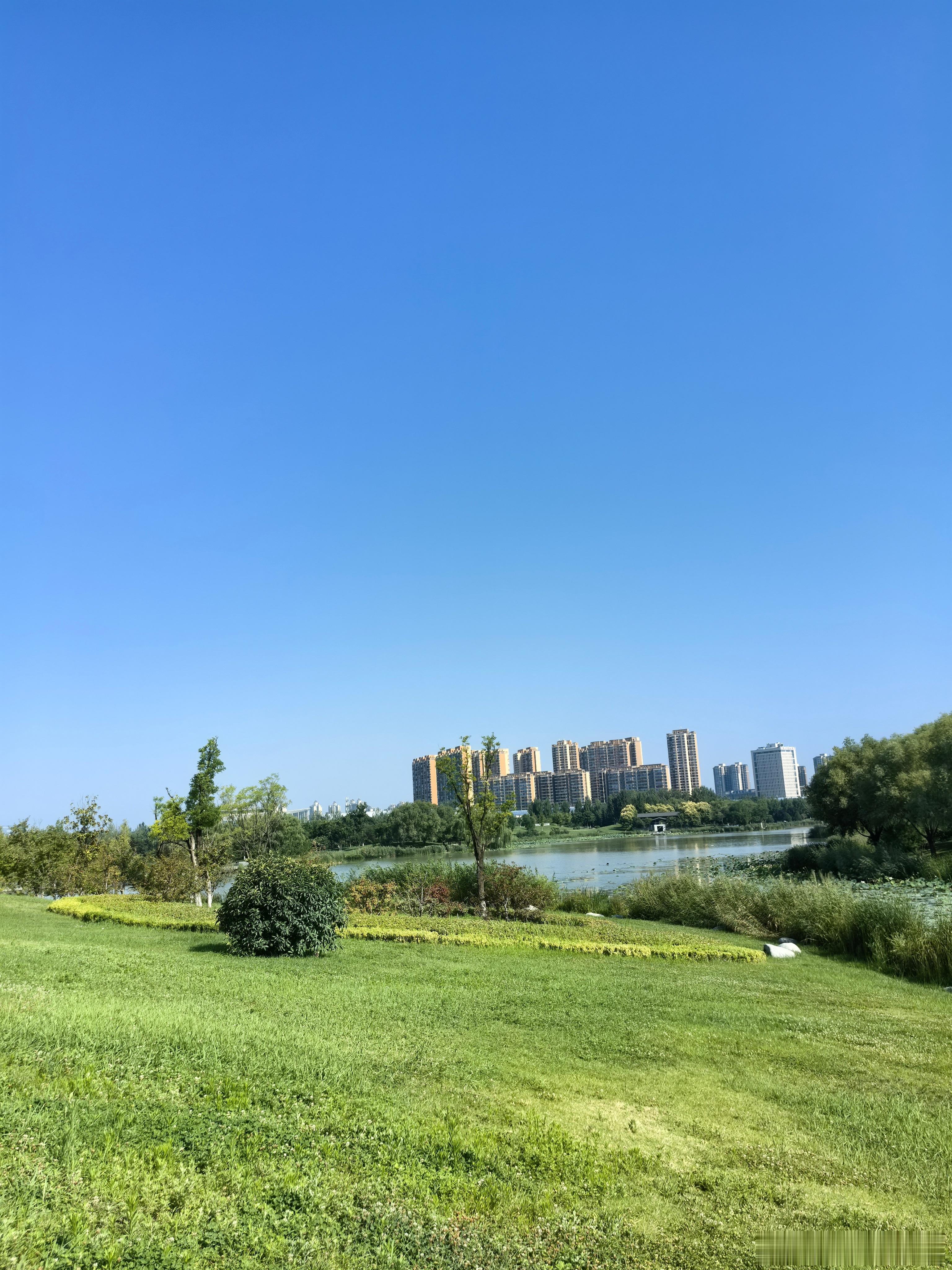 随手拍美景  荣儿的日常 长空澄澈，碧水悠悠，湖畔绿意抚平心绪。时至大暑，祝大家