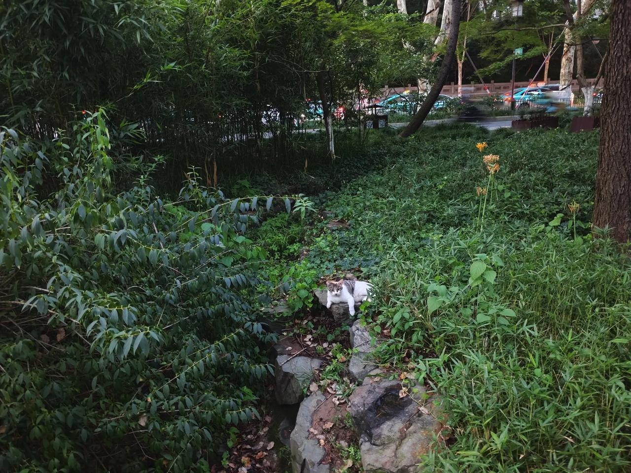 夏秋交替，四季更迭。岁月如梭时光飞逝，大自然不断转换着季节的色彩。秋天来了，似乎